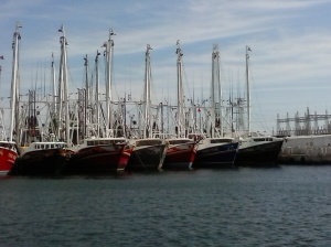 Shrimp boats waiting out the bad weather