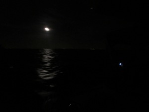 Beautiful full moon shining while we crossed the Gulf from Port Charlotte to Key West